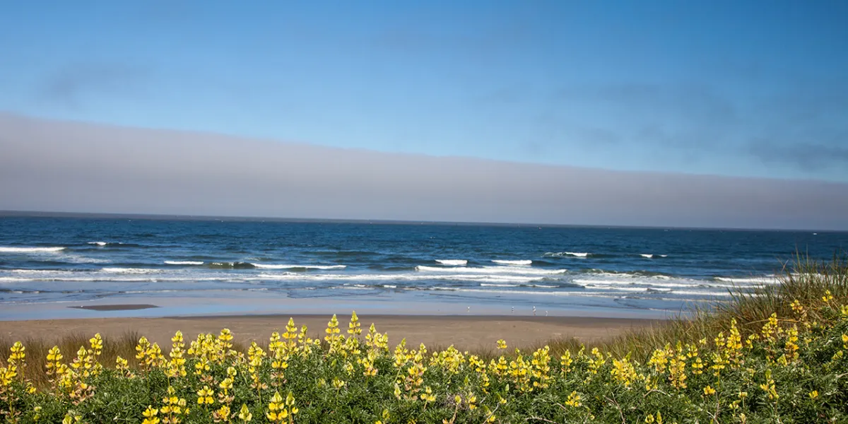 Asbury Park 'A Bustling Beach Spot South Of New York City' Is Thriving